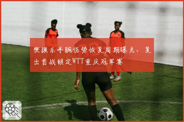 樊振东手腕伤势恢复周期曝光，复出首战锁定WTT重庆冠军赛