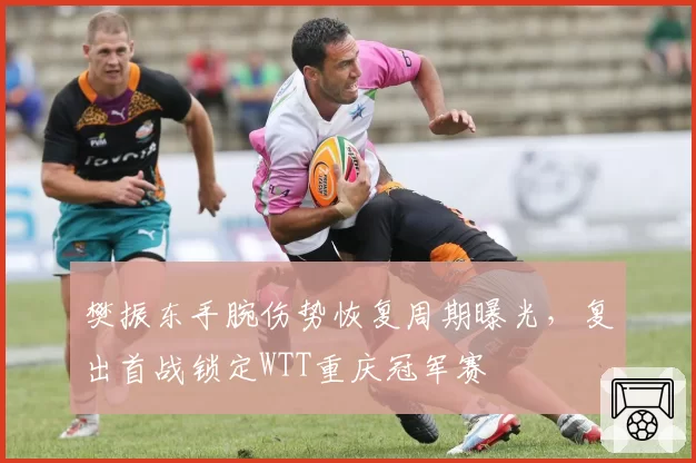 樊振东手腕伤势恢复周期曝光，复出首战锁定WTT重庆冠军赛