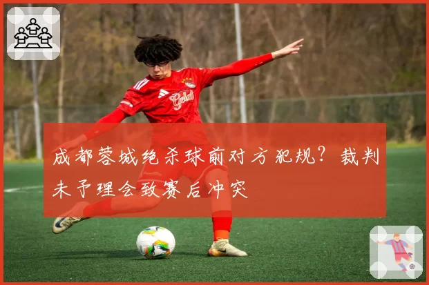 成都蓉城绝杀球前对方犯规？裁判未予理会致赛后冲突