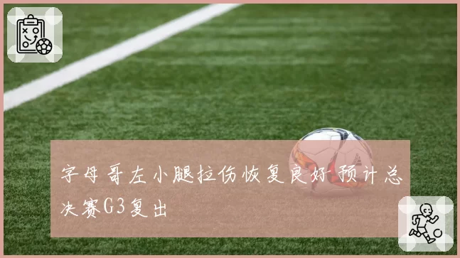 字母哥左小腿拉伤恢复良好 预计总决赛G3复出