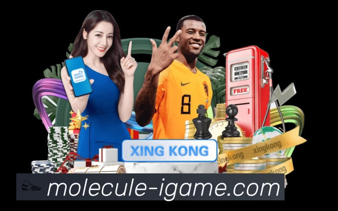 我们的使命与愿景